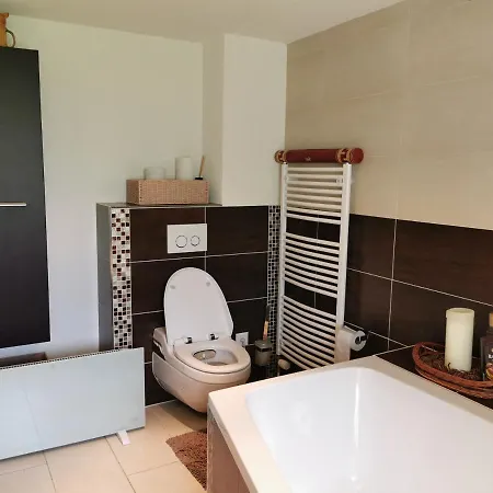 Дом отдыха Schwendi Maison *