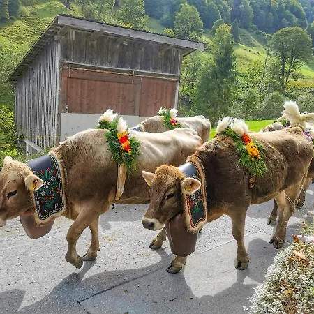 Schwendi Maison Дом отдыха *